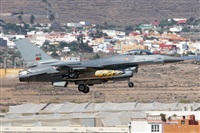 �Adri�n Alonso Lemes - Lanzarote Spotters. Click to see full size photo