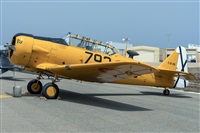 �Adolfo Bento - Gran Canaria Spotters. Click to see full size photo