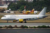 ©Salvador de la Rubia ( Marbella Spotters ). Click to see full size photo ©Salvador de la Rubia ( Marbella Spotters ). Click to see full size photo