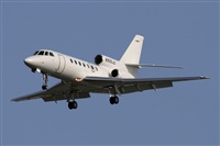 Jos Miguel Bernases - Noisy Spotters. Click to see full size photo
