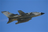 Ricardo Sanabria - AIRE.org. Click to see full size photo
