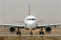 ©Javier de la Cruz - CANARY ISLANDS SPOTTING. Click to see full size photo ©Javier de la Cruz - CANARY ISLANDS SPOTTING. Click to see full size photo