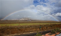 Click here to see full size photo