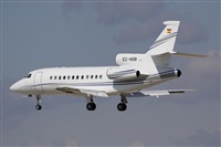 Jos Miguel Bernases - Noisy Spotters. Click to see full size photo