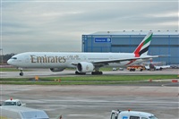 Chalo Canary Islands Spotting. Click to see full size photo