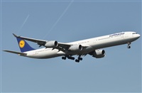 Rubn Gil - Noisy Spotters. Click to see full size photo