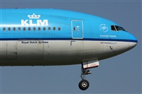 Javier G.M.. Click to see full size photo