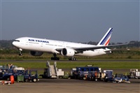 Javier de la Cruz - CANARY ISLANDS SPOTTING. Click to see full size photo