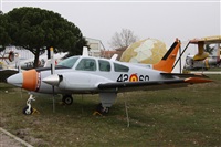 Alfonso Sols - Asociacin Canary Islands Spotting. Haz click para ampliar