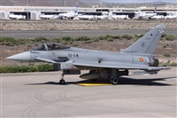 Alfonso Sols - Asociacin Canary Islands Spotting. Haz click para ampliar