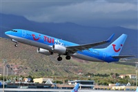 Miguel A. gueda Rguez.  (CANARY ISLANDS SPOTTING). Click to see full size photo