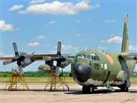 Hernn Attaguile. Click to see full size photo