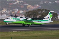 Javier de la Cruz - CANARY ISLANDS SPOTTING. Click to see full size photo