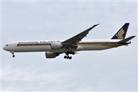 Rubn Gil - Noisy Spotters. Click to see full size photo