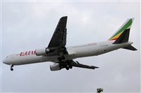 Rodrigo Carvalho - Noisy Spotters. Click to see full size photo