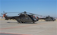ragoval. Click to see full size photo