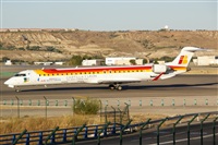 ©Salvador de la Rubia ( Marbella Spotters ). Click to see full size photo ©Salvador de la Rubia ( Marbella Spotters ). Click to see full size photo