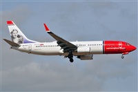 Miguel A. gueda Rguez.  (CANARY ISLANDS SPOTTING). Click to see full size photo