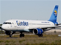 luis esteban rodriguez-YOUNG SPOTTER-spotting andalucia. Click to see full size photo