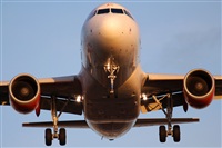 Rodrigo Carvalho - Noisy Spotters. Click to see full size photo