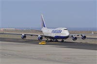 Miguel A. gueda Rguez.  (CANARY ISLANDS SPOTTING). Haz click para ampliar