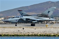 ©Salvador de la Rubia ( Marbella Spotters ). Click to see full size photo ©Salvador de la Rubia ( Marbella Spotters ). Click to see full size photo