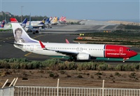 ©Alejandro H.L - Gran Canaria Spotters. Click to see full size photo ©Alejandro H.L - Gran Canaria Spotters. Click to see full size photo