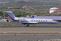 Miguel A. gueda Rguez.  (CANARY ISLANDS SPOTTING). Click to see full size photo
