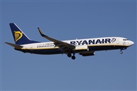 Alfonso Sols - Asociacin Canary Islands Spotting. Haz click para ampliar