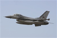 Rui Alves - Madeira Spotters. Click to see full size photo