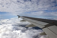 Rui Alves - Madeira Spotters. Click to see full size photo