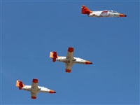 Adrin Alonso Lemes - Lanzarote Spotters. Haz click para ampliar