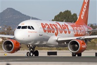 Miguel Alia - Noisy Spotters. Click to see full size photo