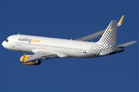 Rubn Gil - Noisy Spotters. Click to see full size photo