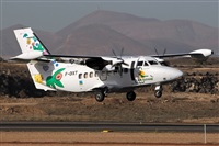 Adrin Alonso Lemes - Lanzarote Spotters. Click to see full size photo