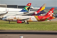 Javier de la Cruz - CANARY ISLANDS SPOTTING. Click to see full size photo