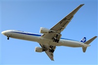 Ana L@dy Spotter. Click to see full size photo