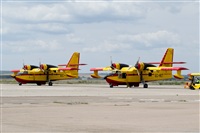 ©Alberto Maroto - Coruña Spotters. Click to see full size photo ©Alberto Maroto - Coruña Spotters. Click to see full size photo