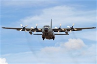 Florencio Martn Melin - Lanzarote Spotters. Click to see full size photo