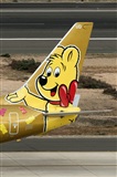 ©Adolfo Bento - Gran Canaria Spotters. Click to see full size photo ©Adolfo Bento - Gran Canaria Spotters. Click to see full size photo