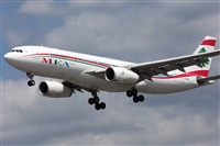 Miguel Alia - Noisy Spotters. Click to see full size photo