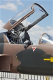 Alejandro Torres C (Mxico). Click to see full size photo