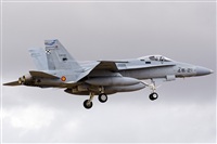 Paco Muoz Arencibia - Gran Canaria Spotters. Click to see full size photo