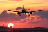 Rubn Gil - Noisy Spotters. Click to see full size photo