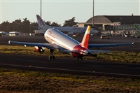 Javier de la Cruz - CANARY ISLANDS SPOTTING. Click to see full size photo