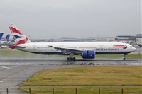 Miguel A. gueda Rguez.  (CANARY ISLANDS SPOTTING). Click to see full size photo