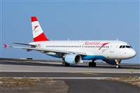 Saimon J Rodriguez   -   Canary Islands Spotting. Click to see full size photo