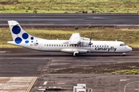Javier de la Cruz - CANARY ISLANDS SPOTTING. Click to see full size photo