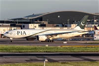 Javier de la Cruz - CANARY ISLANDS SPOTTING. Click to see full size photo