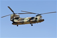 Fco Javier Garca Ruiz. Click to see full size photo